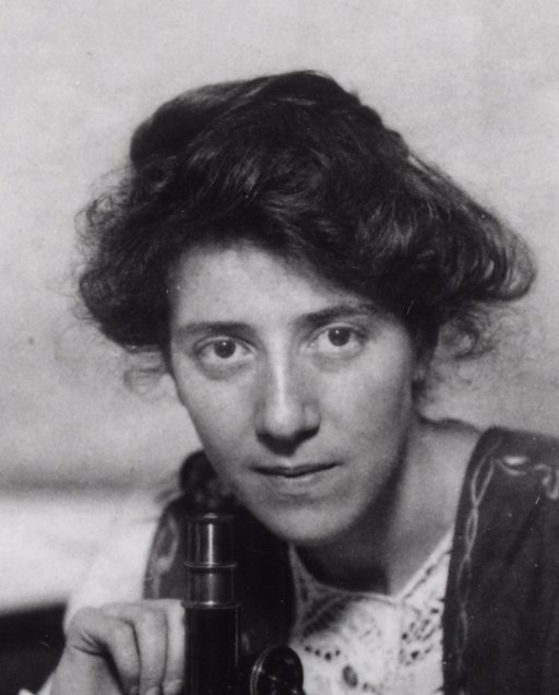 18.11.1 Marie Stopes