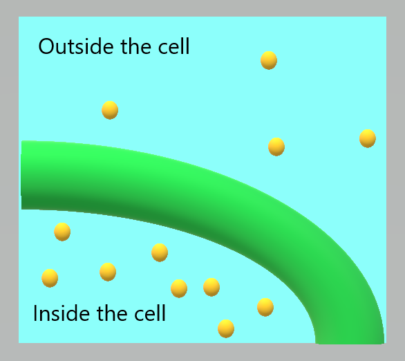 Image shows a cell with higher concentrations of a substance on the inside of the cell than on the outside of the cell. The cell is in a hypotonic solution