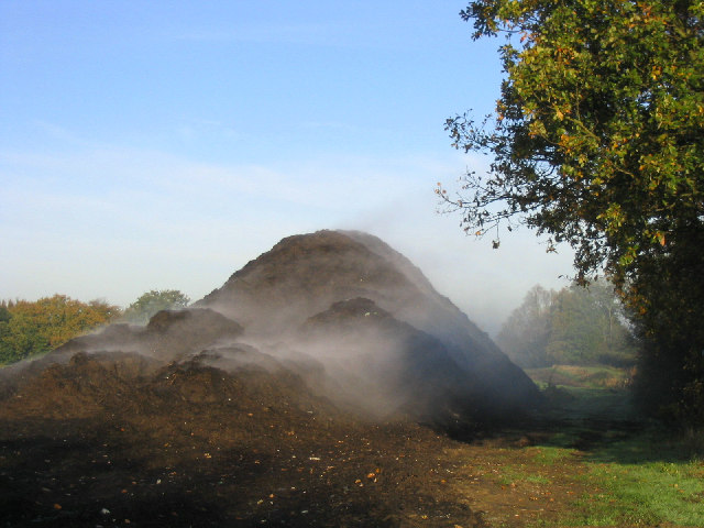 A large pile of compost in a field. The compost has a cloud of steam around it, indicating release of heat into the environment as a result of the decomposition process.