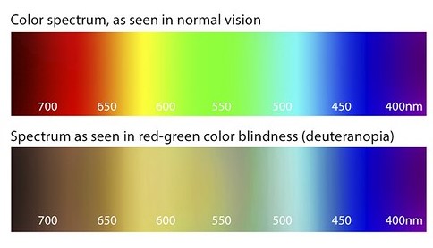 Image shows the difference in perception of colours between a person with normal vision and someone with red-green colour blindness.