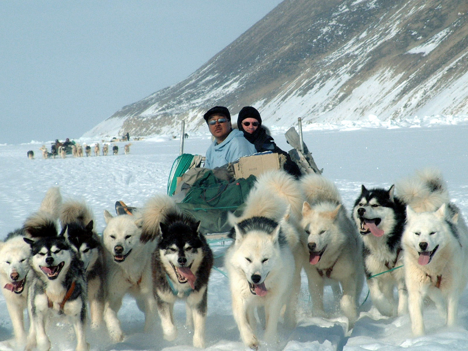 Image shows a photo of a sled carrying two men being pulled by 8 huskies.