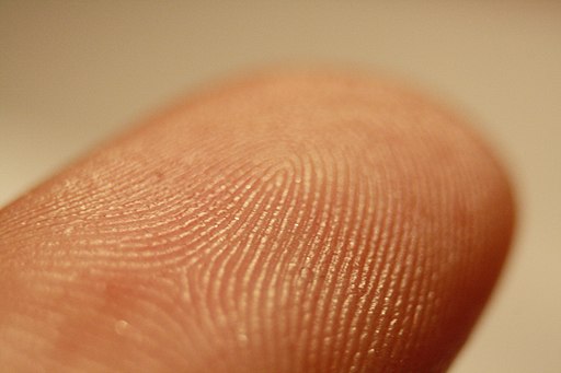 10.3 Fingerprints