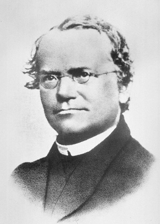 Image shows a photograph of Gregor Mendel