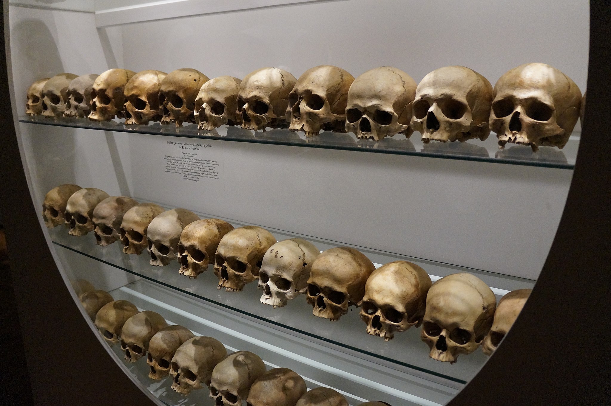 11.3 Skulls on Display