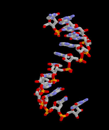 A strand of RNA