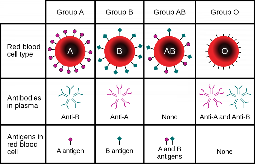 5.14 Non-Mendelian Inheritance – Human Biology