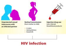 17.6 Disorders of the Immune System – Human Biology