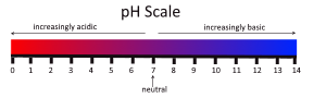 3.12 Acids and Bases \u2013 Human Biology