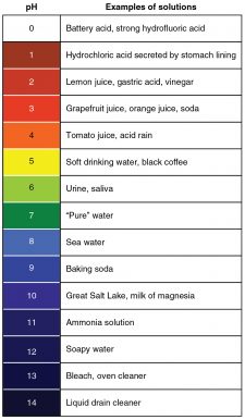 3.12 Acids and Bases – Human Biology