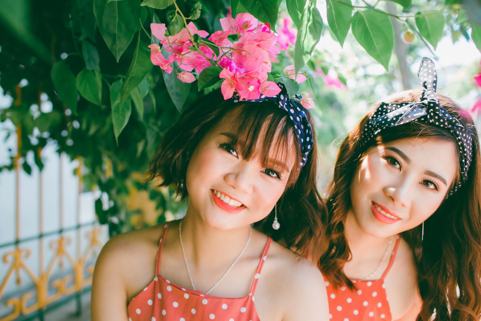 5.2 Chromosomes and Genes Human Biology